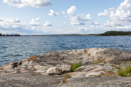 Bild av närområdet