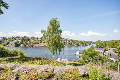 Bild av närområdet