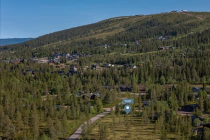 Bild av närområdet