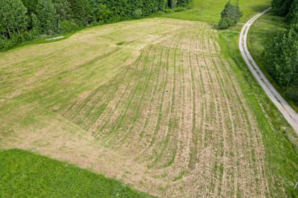 Illustrerad karta över fastigheten eller området