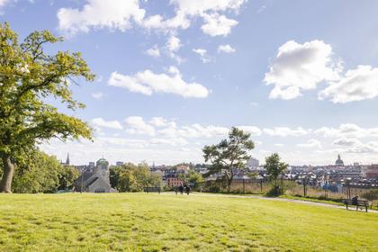 Bild av närområdet