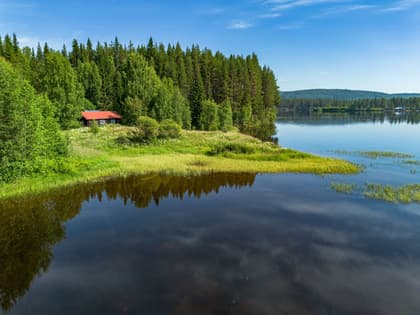 Bild av närområdet