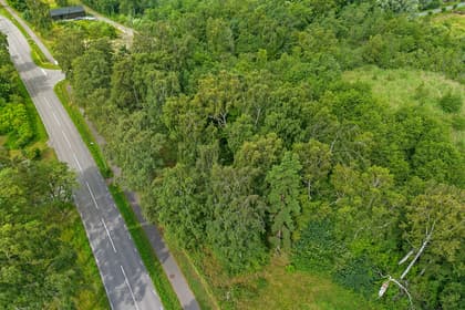 Illustrerad karta över fastigheten eller området