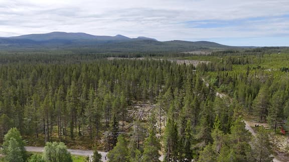 Västvallen 131, Härjedalen