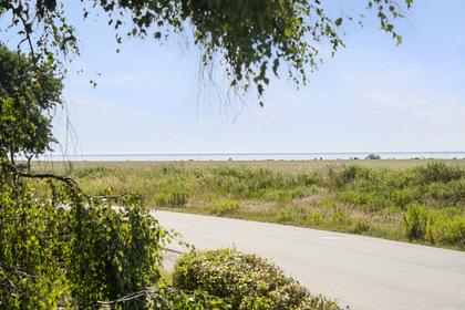 Bild av närområdet