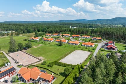 Bild av närområdet