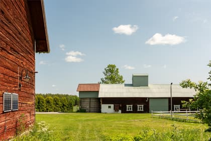 Bild av närområdet