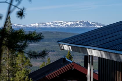 Bild av närområdet