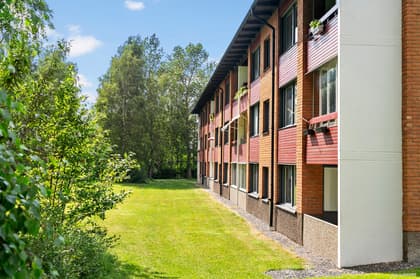 Bild av närområdet