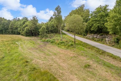 Bild av närområdet