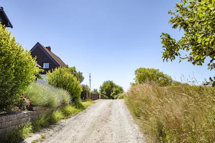 Bild av närområdet