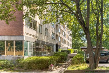 Bild av närområdet