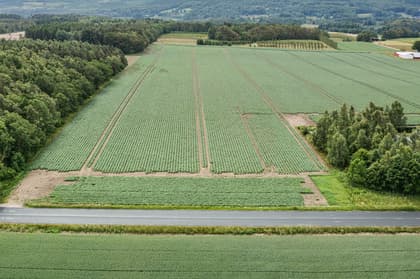 Bild av närområdet