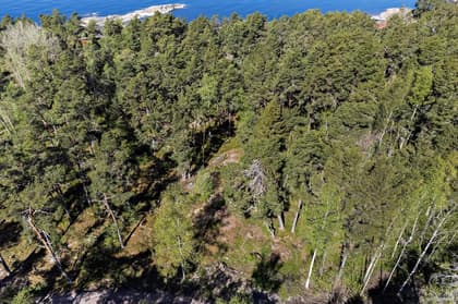 Östhammar Mårtensboda 1:37, Gräsö