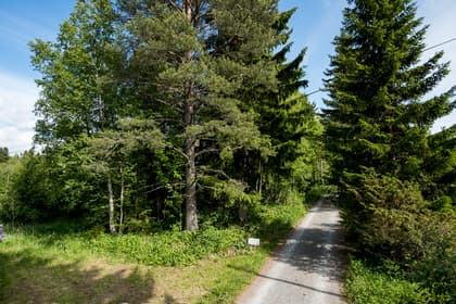 Bild av närområdet