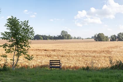Bild av närområdet