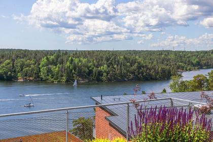 Bild av närområdet