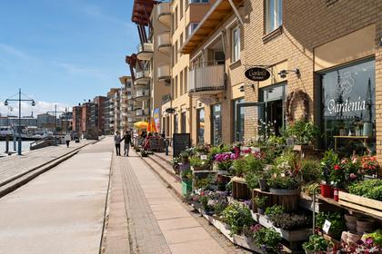 Bild av närområdet