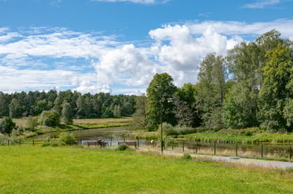 Bild av närområdet