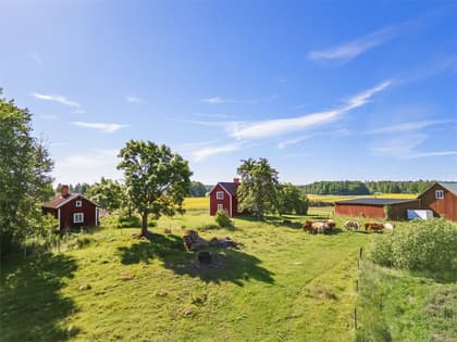 Bild av närområdet