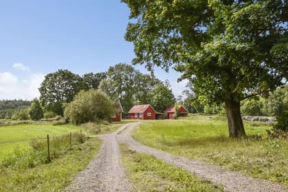 Bild av närområdet