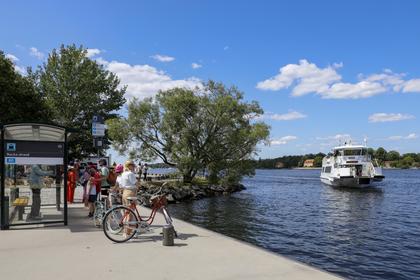 Bild av närområdet