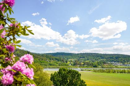 Bild av närområdet