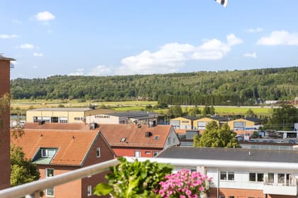 Bild av närområdet