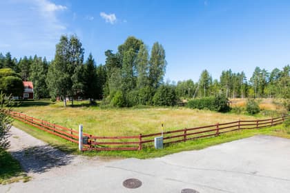 Bild av närområdet