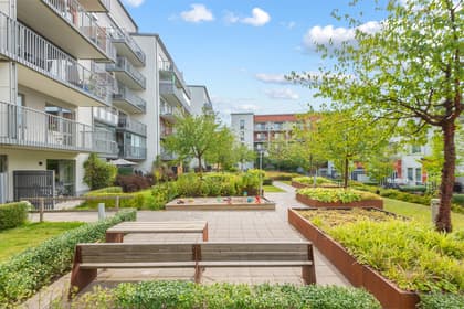 Bild av närområdet