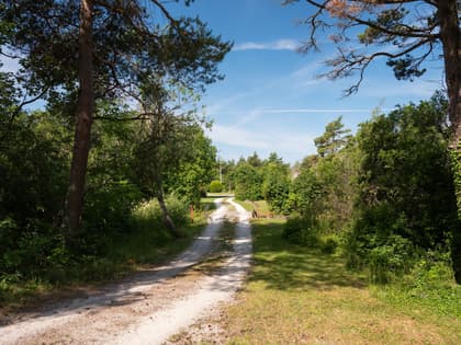 Bild av närområdet