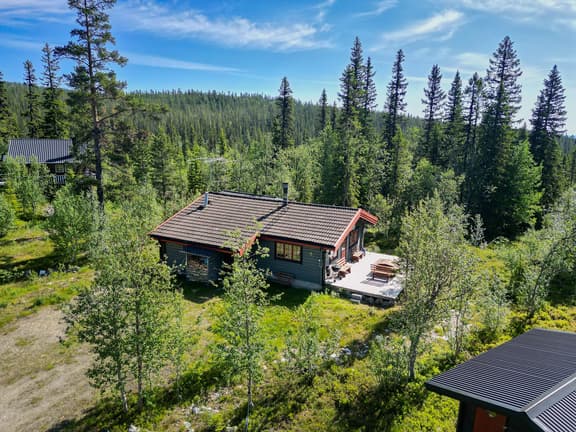 Dvärgbjörksvägen 9, Berg