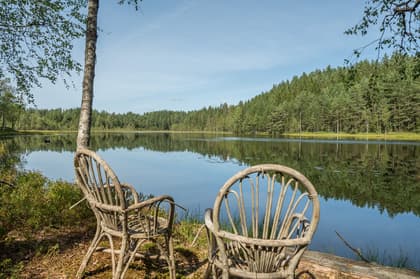 Bild av närområdet