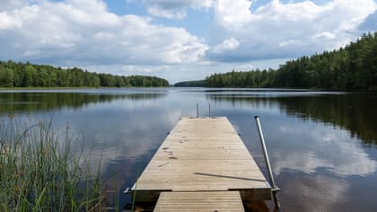 Bild av närområdet