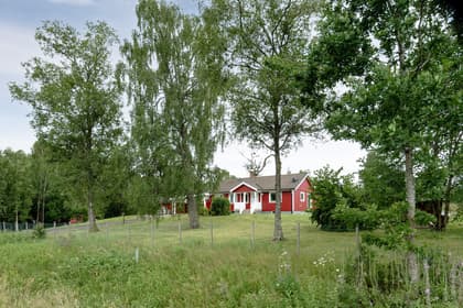 Bild av närområdet