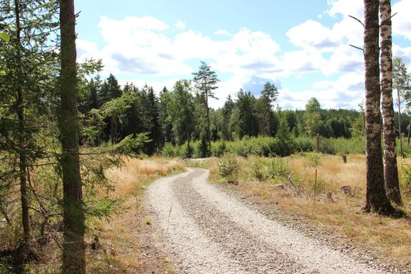 Sandbro, Uppsala