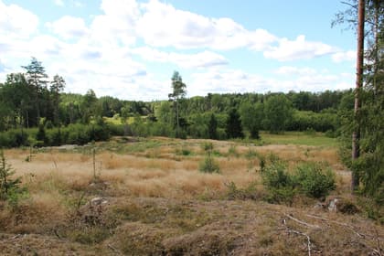 Bild av närområdet