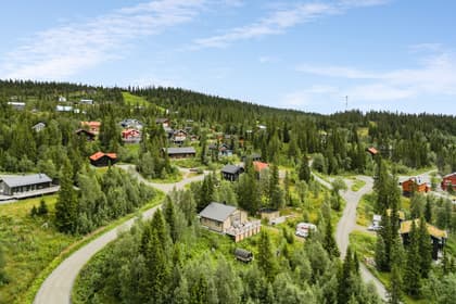 Bild av närområdet