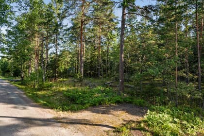 Bild av närområdet