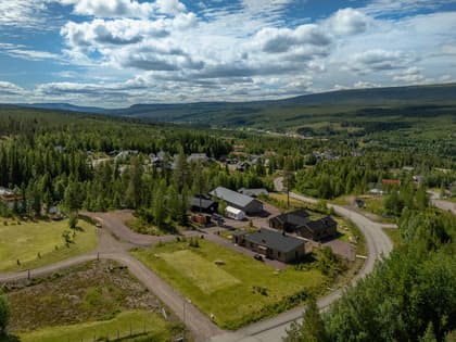 Bild av närområdet