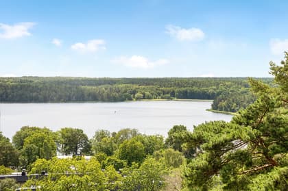 Bild av närområdet