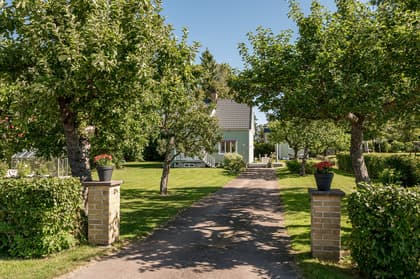 Bild av närområdet