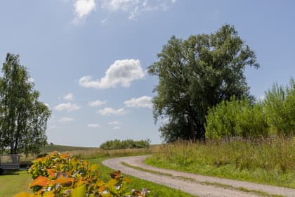 Bild av närområdet