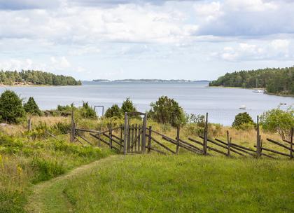 Bild av närområdet