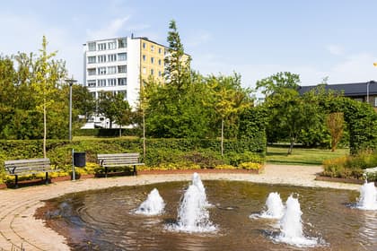 Bild av närområdet