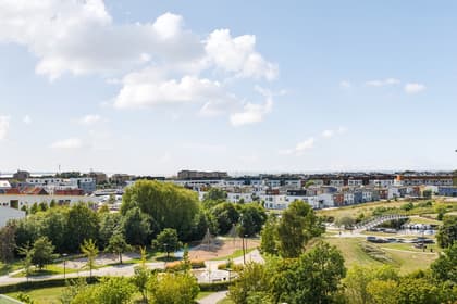 Bild av närområdet