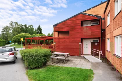 Dianastigen 1D, Rimbo