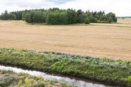 Bild av närområdet