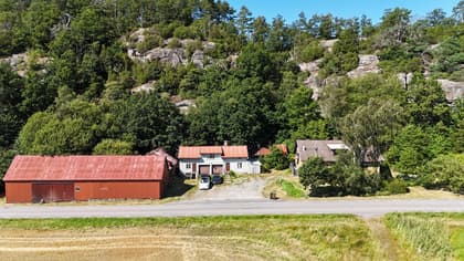 Bild av närområdet