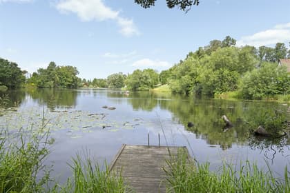 Bild av närområdet